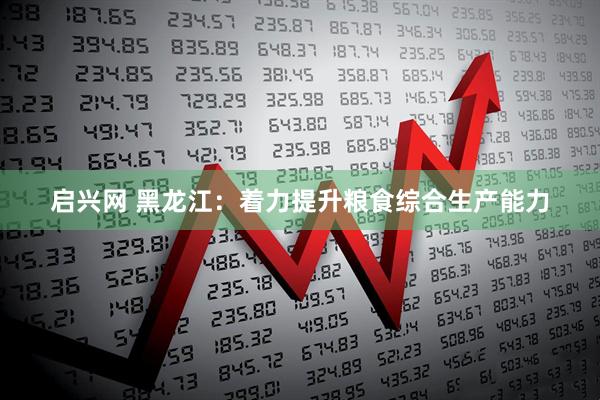 启兴网 黑龙江：着力提升粮食综合生产能力