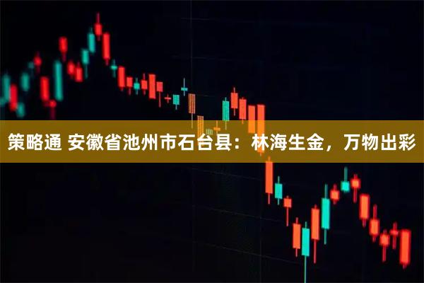 策略通 安徽省池州市石台县：林海生金，万物出彩